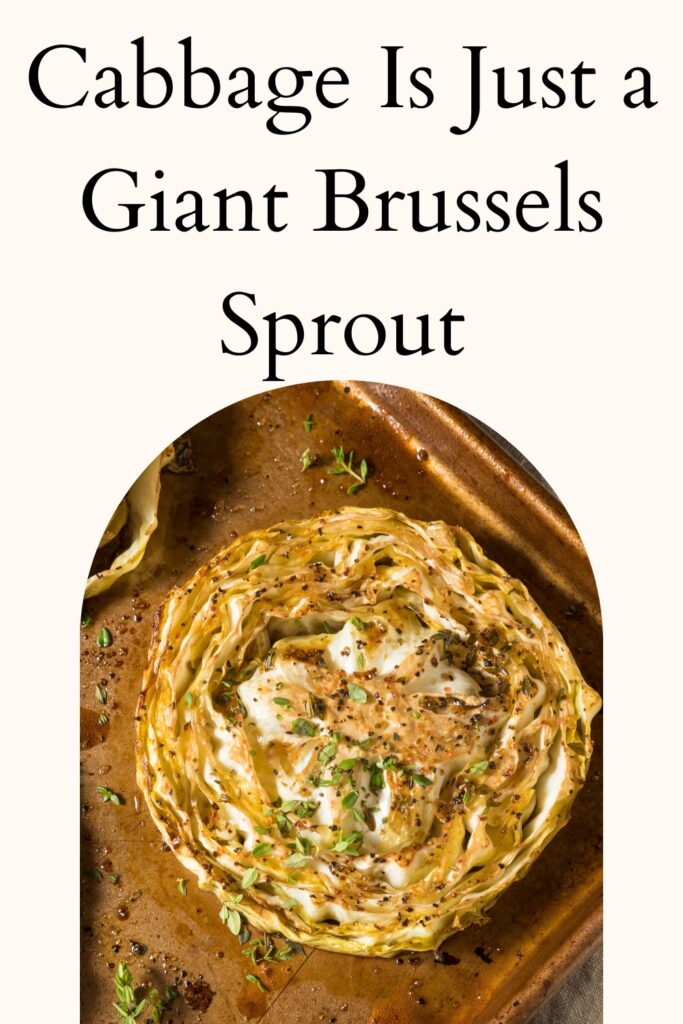 cabbage and brussels sprouts