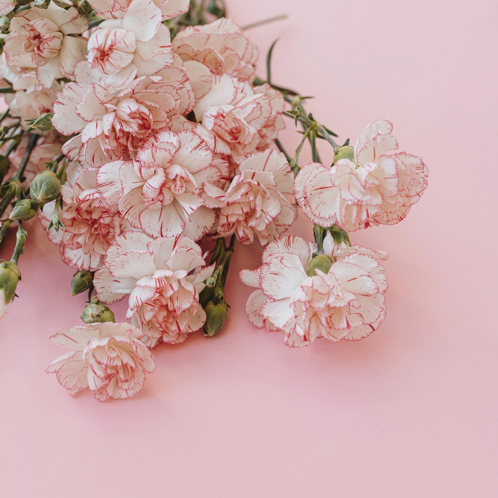 Why the “Soft Life” Gets Judged So Harshly